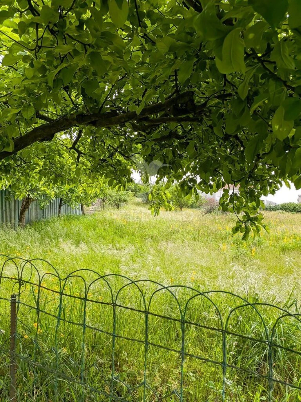 Quinta T3 para Venda em Monte Córdova Foto 16
