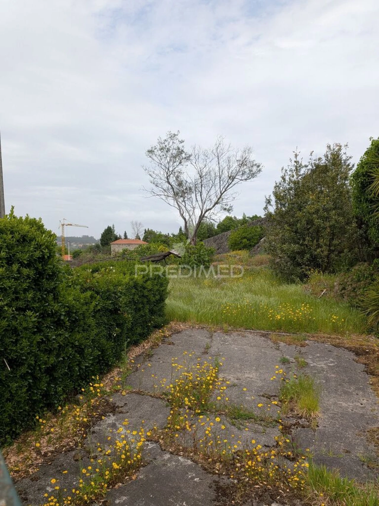 Quinta T3 para Venda em Monte Córdova Foto 3