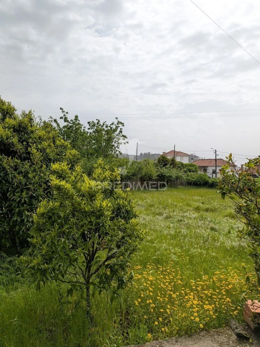 Quinta T3 para Venda em Monte Córdova Foto 20