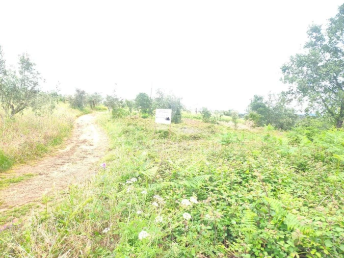 Terreno para Venda em Pussos São Pedro Foto 6