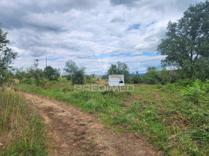 Terreno para Venda em Pussos São Pedro Foto 3