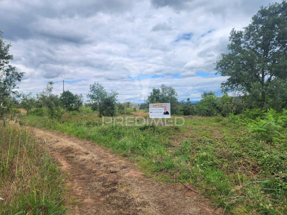 Terreno para Venda em Pussos São Pedro Foto 3