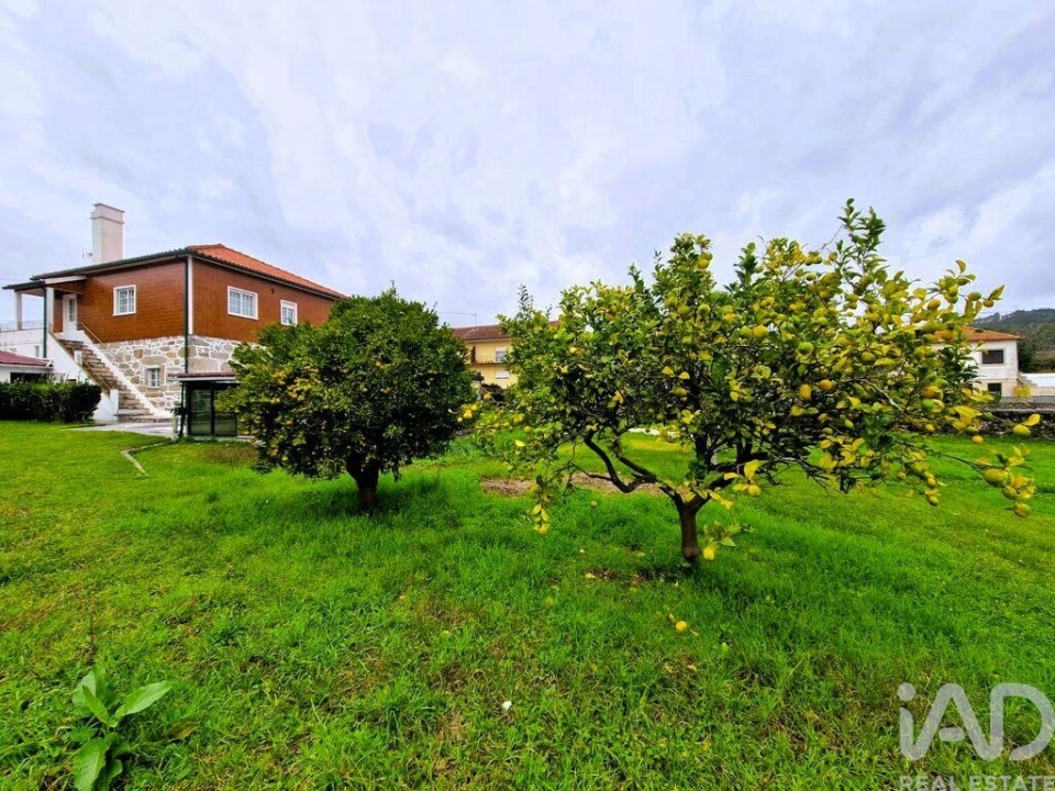 Terreno para Venda em Vila de Punhe Foto 3