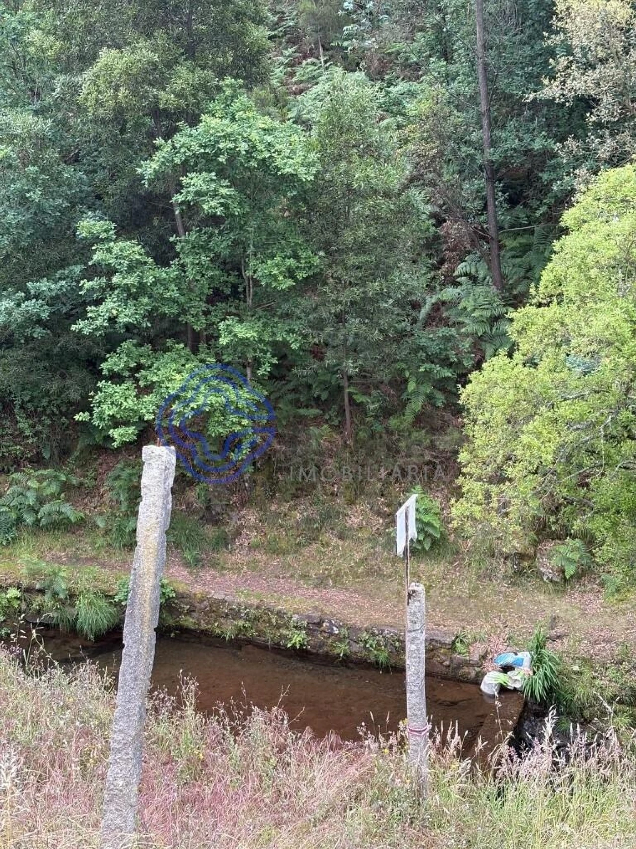 Terreno para Venda em Reguenga Foto 5