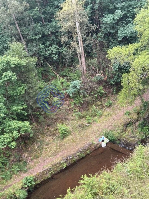 Terreno para Venda em Reguenga