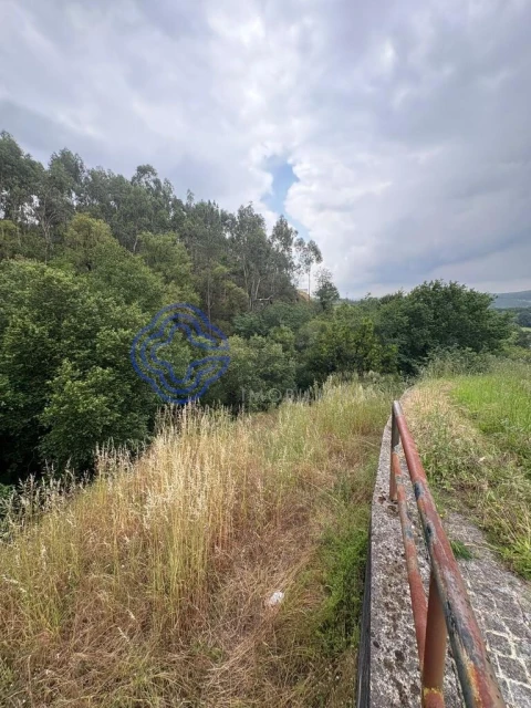 Terreno para Venda em Reguenga