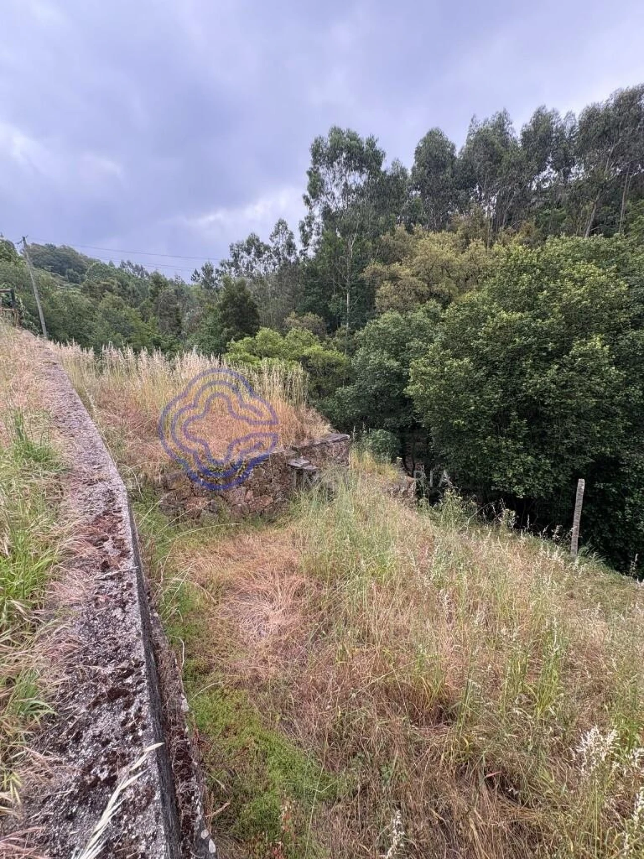 Terreno para Venda em Reguenga Foto 1