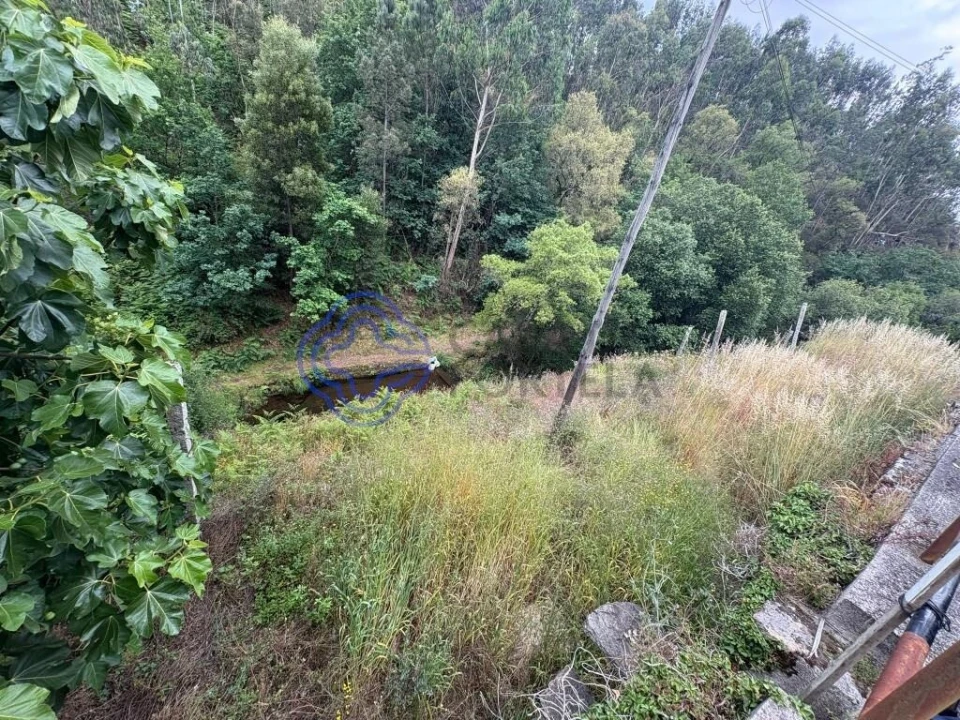 Terreno para Venda em Reguenga Foto 2