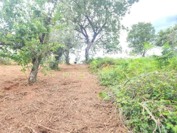 Terreno para Venda em Pussos São Pedro