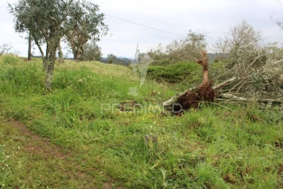 Terreno para Venda em Pussos São Pedro