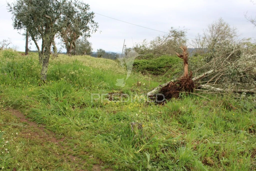 Terreno para Venda em Pussos São Pedro Foto 1