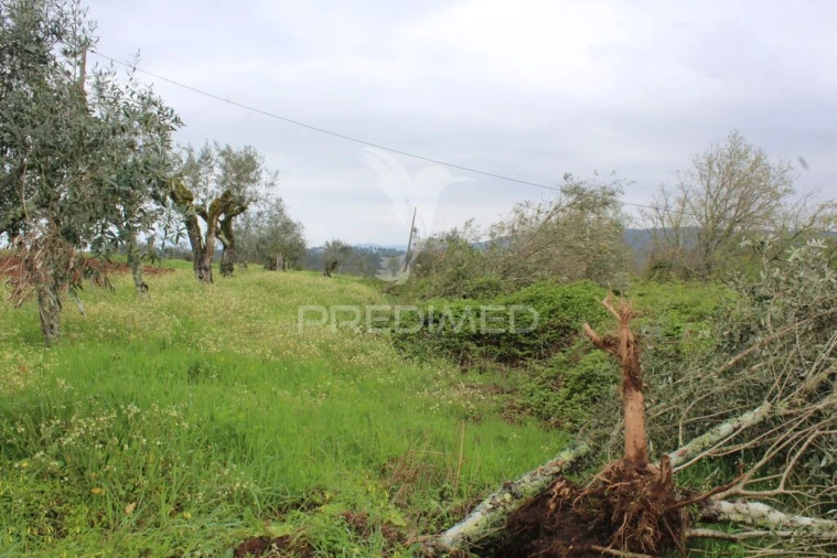 Terreno para Venda em Pussos São Pedro Foto 2