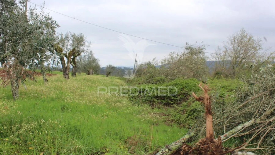 Terreno para Venda em Pussos São Pedro