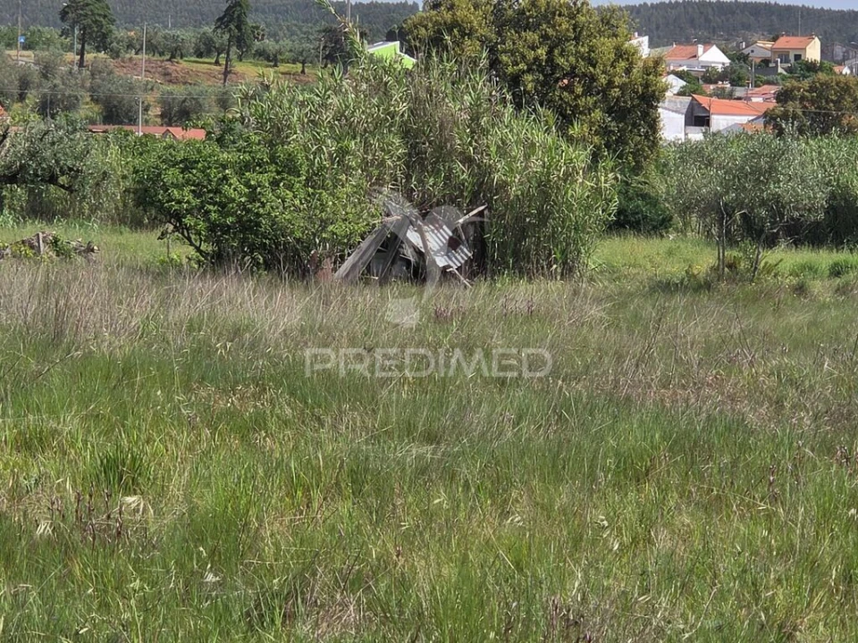 Terreno para Venda em Vila Nova da Barquinha Foto 11