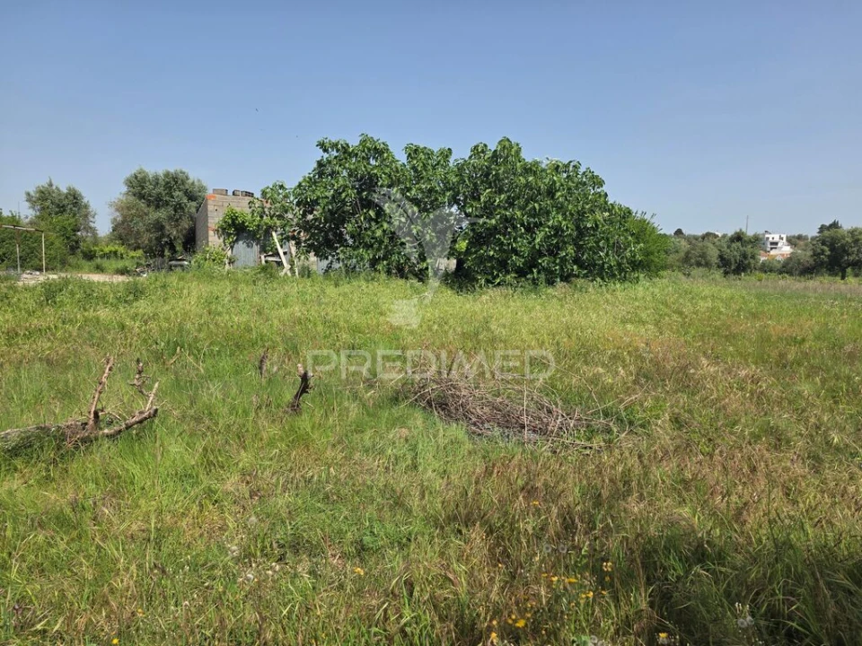 Terreno para Venda em Vila Nova da Barquinha Foto 4