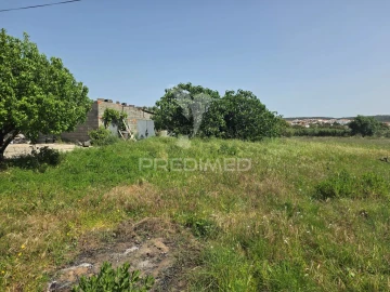 Terreno para Venda em Vila Nova da Barquinha