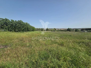 Terreno para Venda em Vila Nova da Barquinha