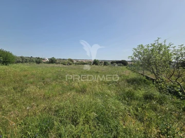 Terreno para Venda em Vila Nova da Barquinha