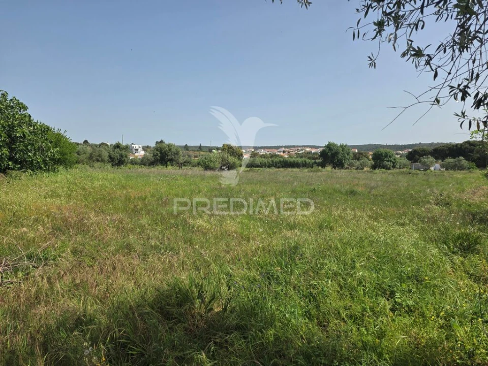 Terreno para Venda em Vila Nova da Barquinha Foto 2