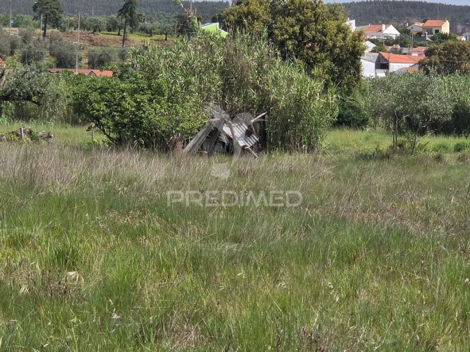 Terreno para Venda em Vila Nova da Barquinha Foto 11