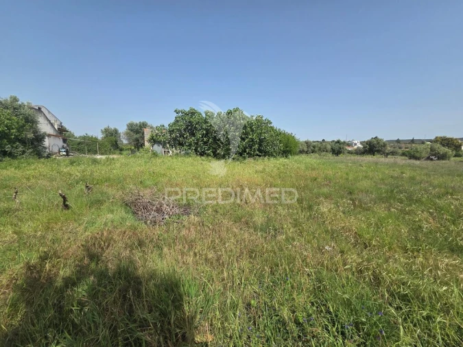 Terreno para Venda em Vila Nova da Barquinha Foto 13