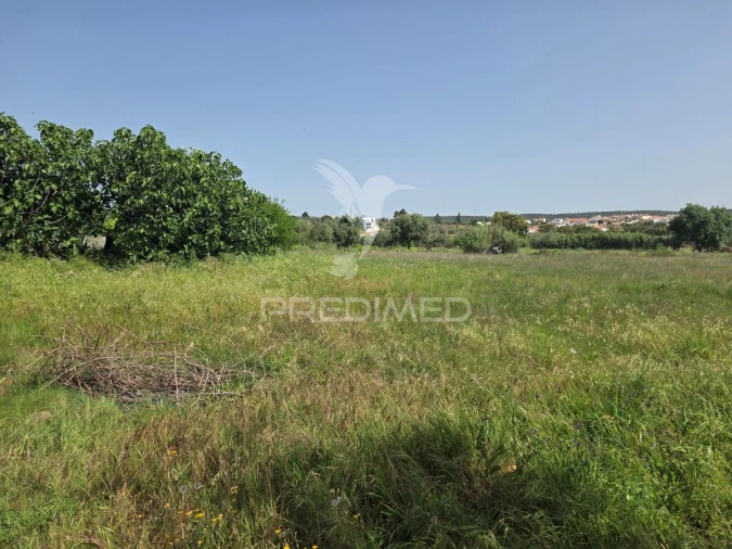 Terreno para Venda em Vila Nova da Barquinha Foto 3