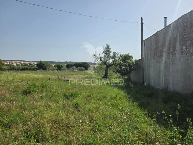 Terreno para Venda em Vila Nova da Barquinha Foto 8