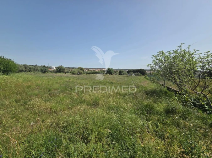 Terreno para Venda em Vila Nova da Barquinha Foto 6