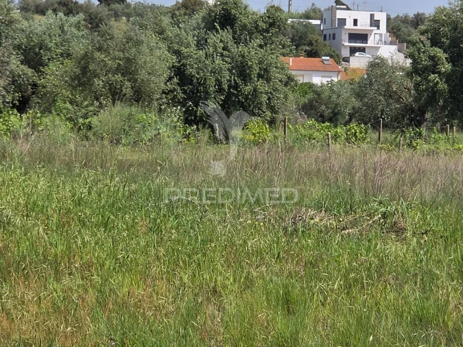 Terreno para Venda em Vila Nova da Barquinha Foto 10