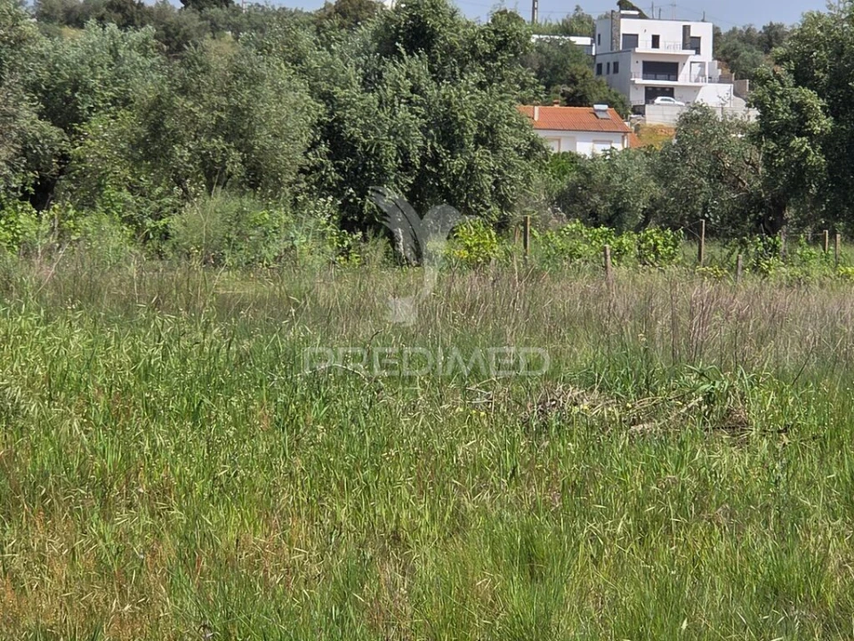 Terreno para Venda em Vila Nova da Barquinha Foto 10