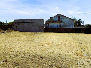 Terreno para Venda em Vieira de Leiria