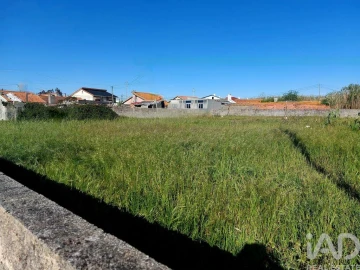 Terreno para Venda em Vieira de Leiria