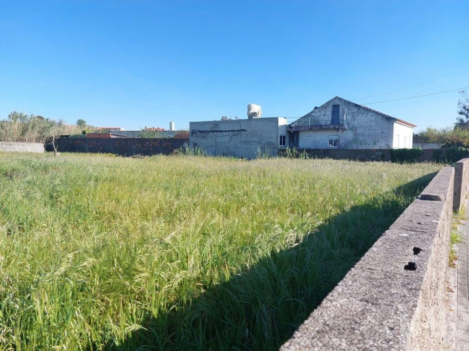 Terreno para Venda em Vieira de Leiria Foto 9