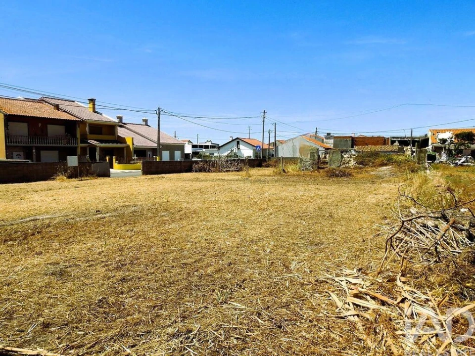 Terreno para Venda em Vieira de Leiria Foto 4