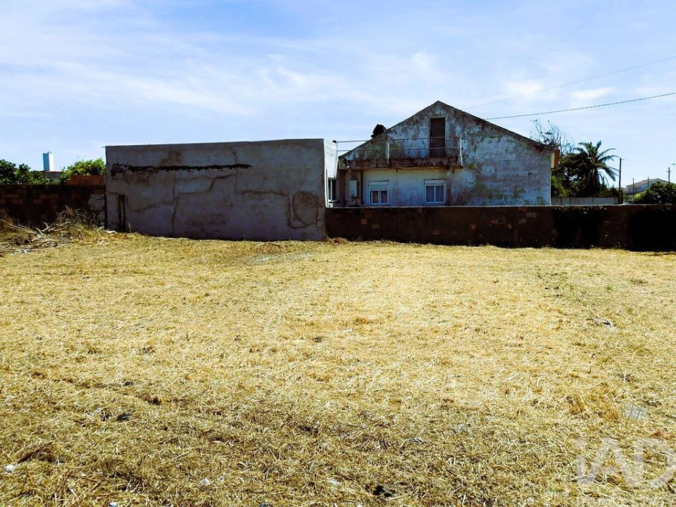 Terreno para Venda em Vieira de Leiria Foto 21