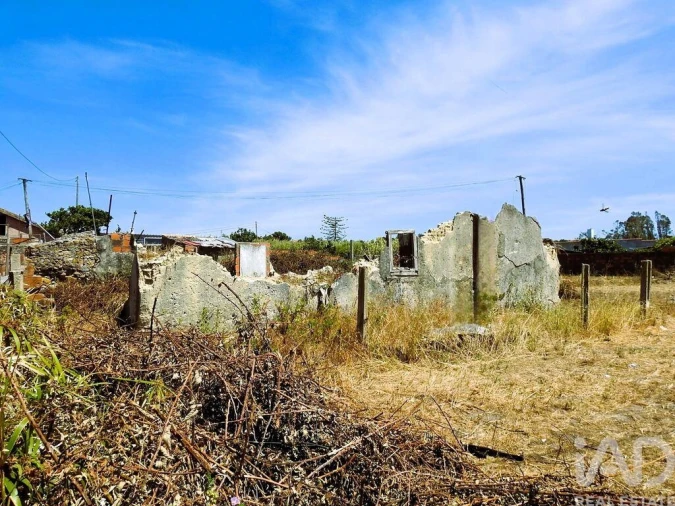 Terreno para Venda em Vieira de Leiria Foto 2
