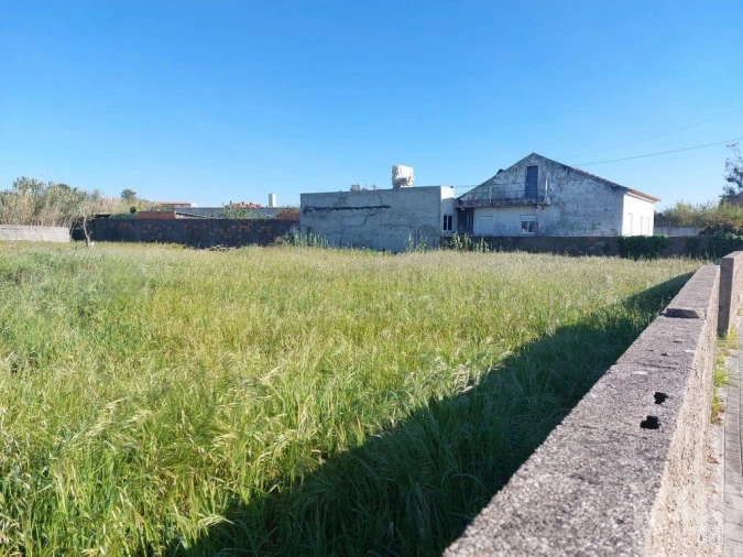 Terreno para Venda em Vieira de Leiria Foto 9