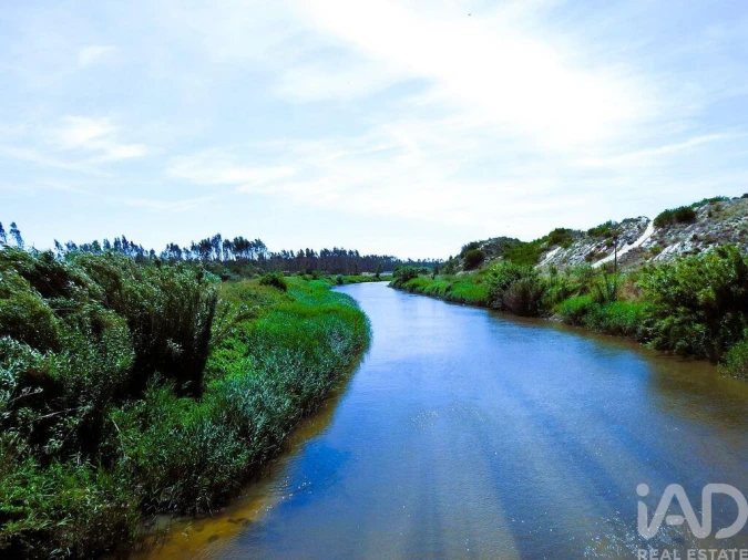 Terreno para Venda em Vieira de Leiria Foto 23