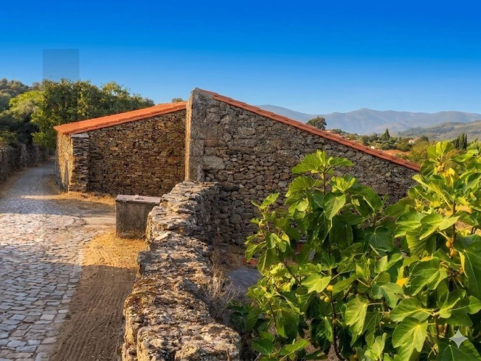 Quinta T2 para Venda em Touça Foto 9