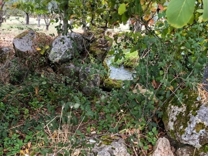 Quinta T2 para Venda em Touça Foto 10