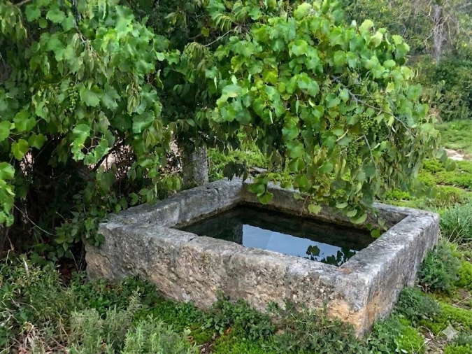 Quinta T2 para Venda em Touça Foto 4
