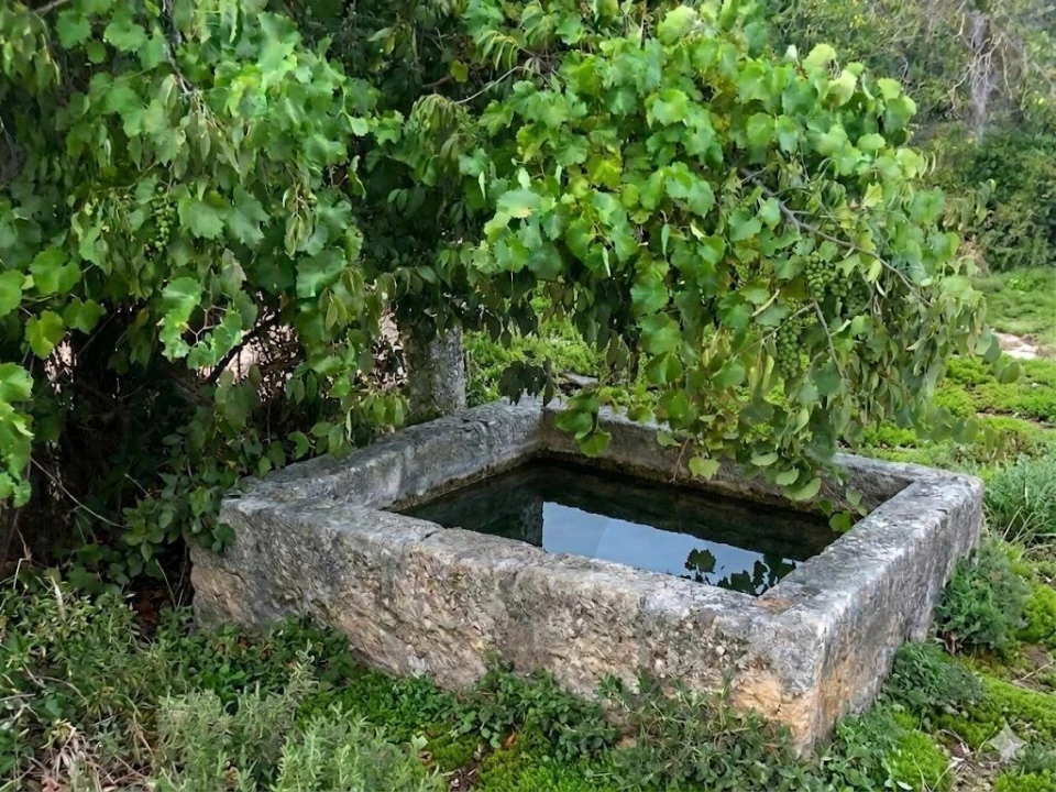 Quinta T2 para Venda em Touça Foto 4