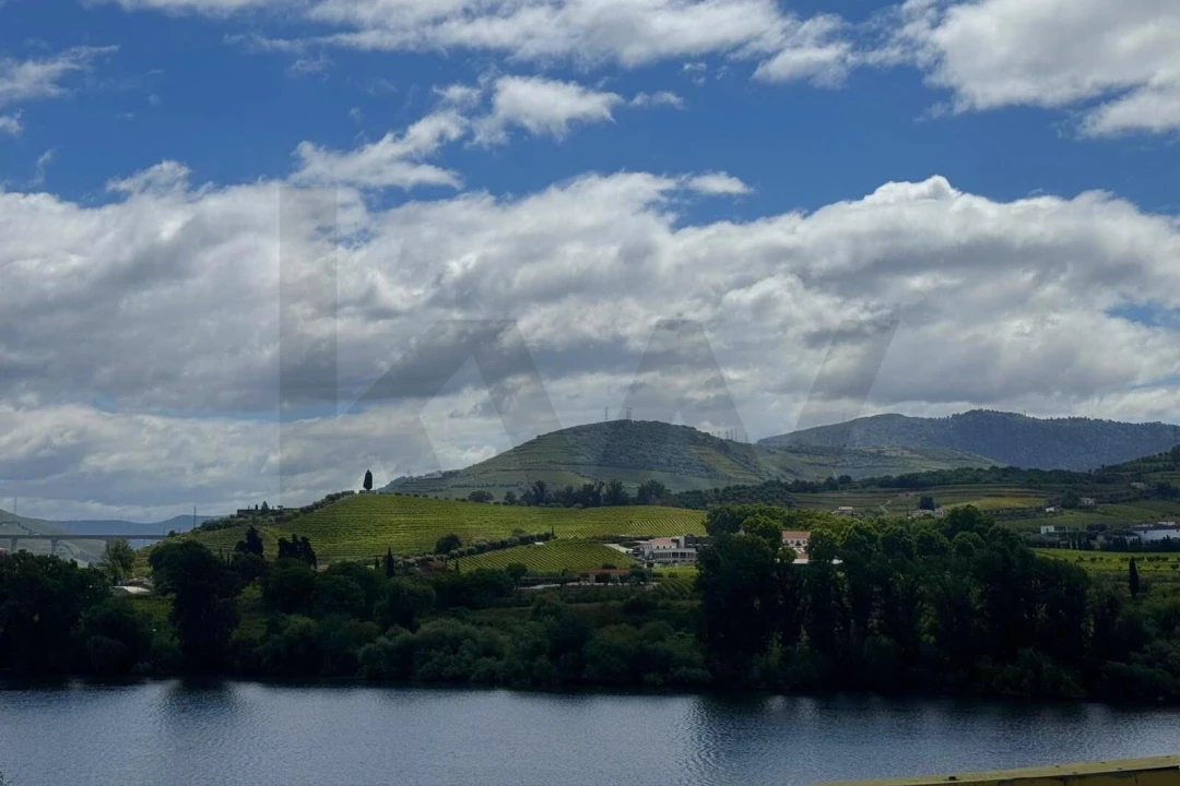 Moradia T3 para Venda em Peso da Régua e Godim Foto 22