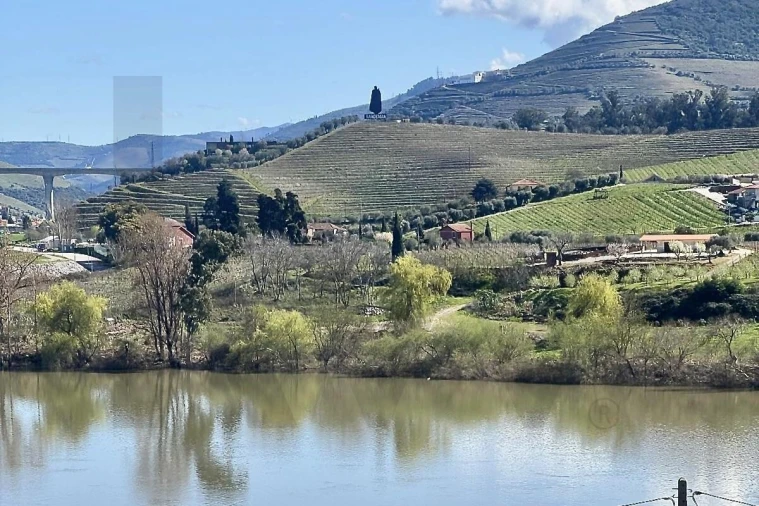 Moradia T3 para Venda em Peso da Régua e Godim Foto 10