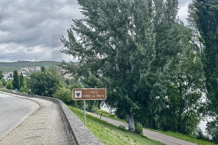 Moradia T3 para Venda em Peso da Régua e Godim Foto 17