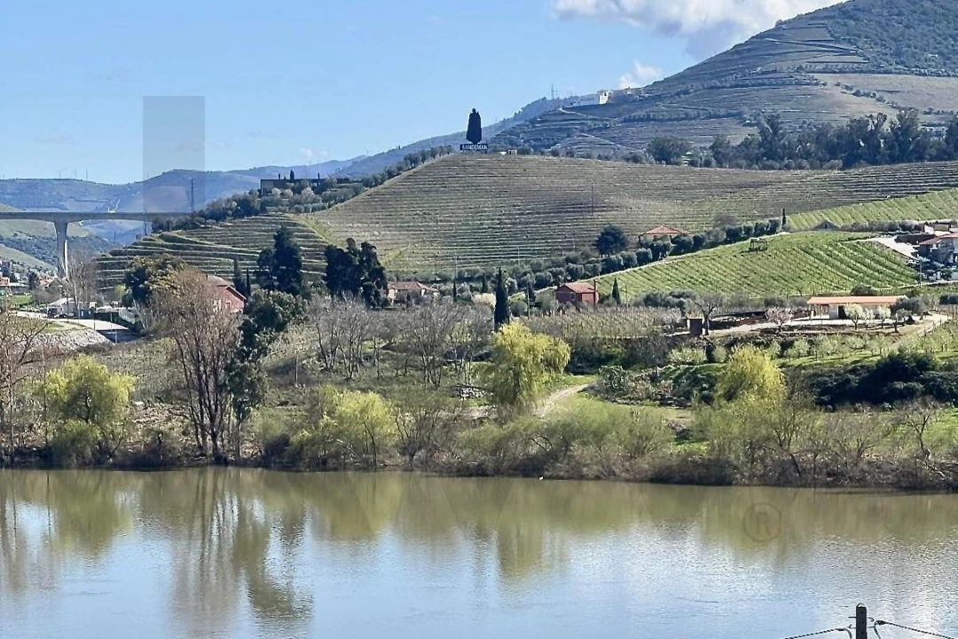 Moradia T3 para Venda em Peso da Régua e Godim Foto 10