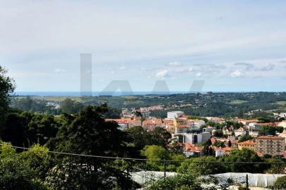 Moradia T6 para Venda em São João das Lampas e Terrugem