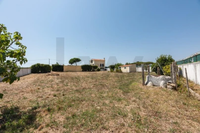 Moradia T4 para Venda em Santa Maria e São Miguel, São Martinho, São Pedro Penaferrim
