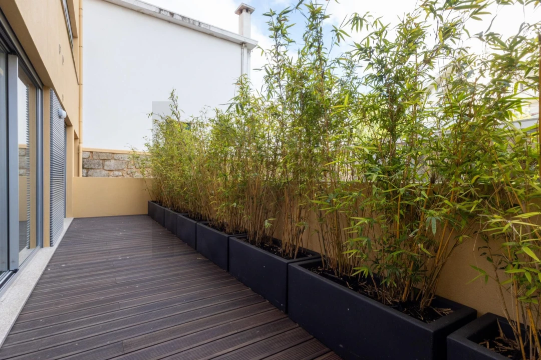 Apartamento T1 para Arrendamento em Cedofeita, Santo Ildefonso, Sé, Miragaia, São Nicolau e Vitória Foto 18