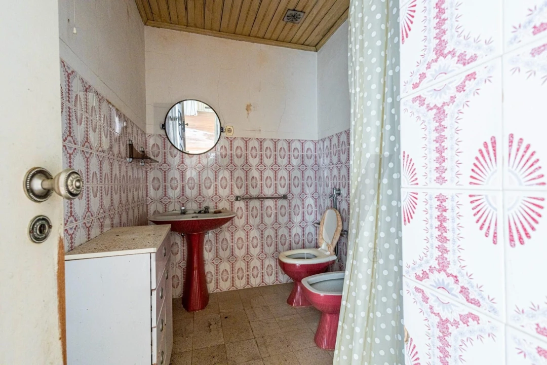 Prédio para Venda em Romeira e Várzea Foto 54